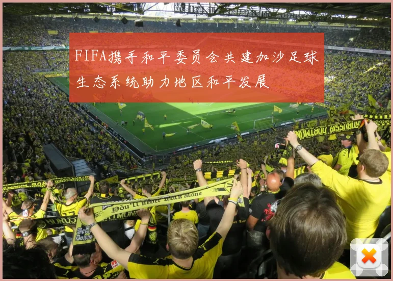 FIFA携手和平委员会共建加沙足球生态系统助力地区和平发展