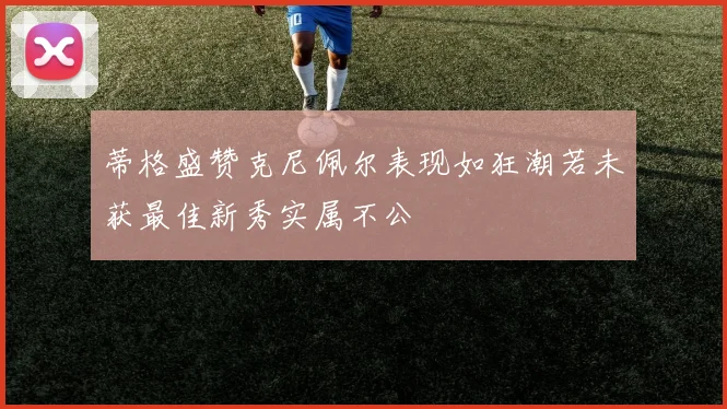 蒂格盛赞克尼佩尔表现如狂潮若未获最佳新秀实属不公